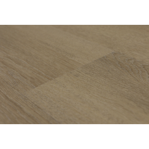 Virtus Royal Collection Virtus SPC Starline
