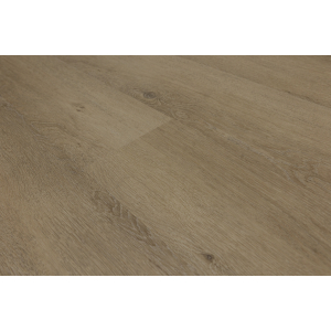 Virtus Royal Collection Virtus SPC Starline